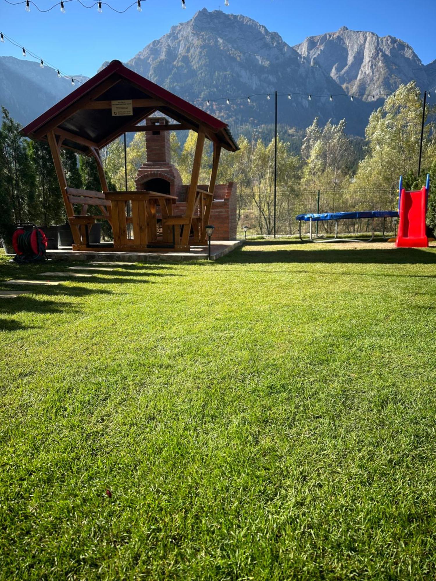 Ama Garden Apartment Busteni Luaran gambar